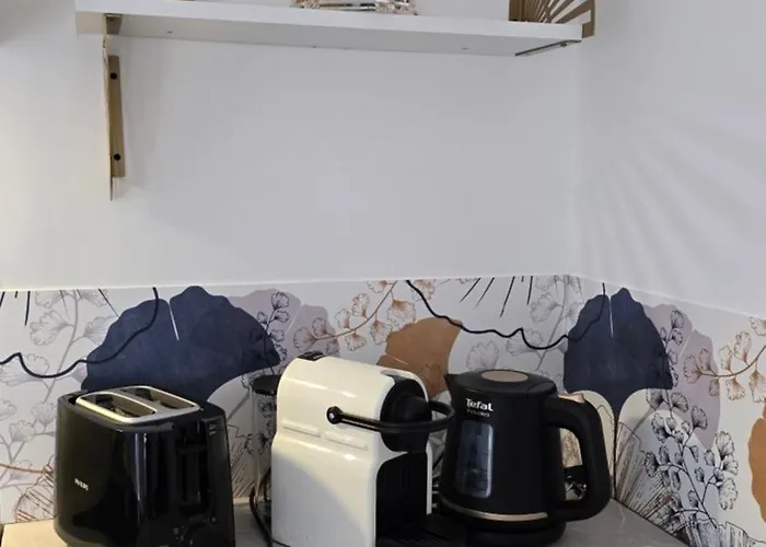 La Perle Rare Διαμέρισμα Massy (Essonne)